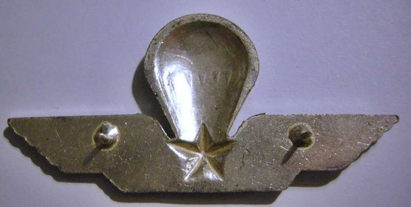 Italy Airborne Instructor Paratrooper Jump Wings Pins Intact 79mm x 35mm