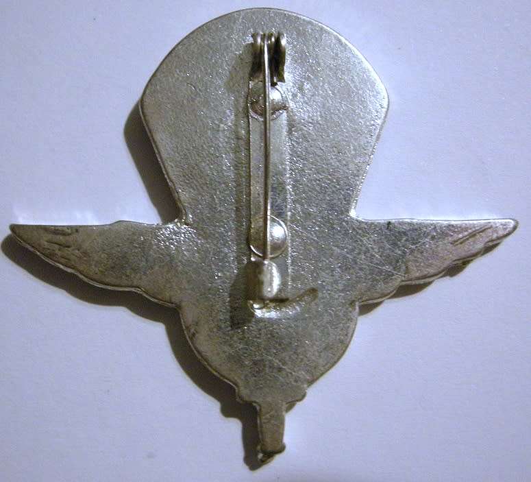 Italy Military Parachute Center Parachutist Badge 50mm x 57mm