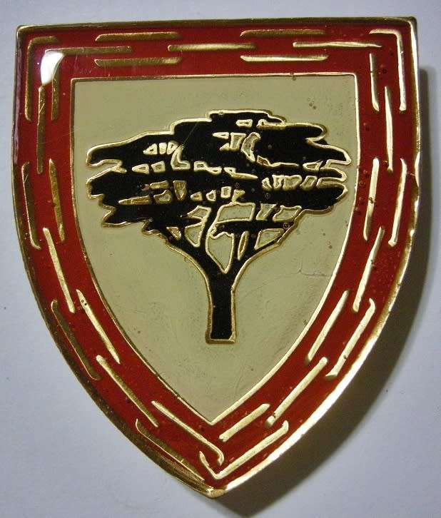 SANDF Army Support Base Lohatla Shoulder Flash Pins Intact