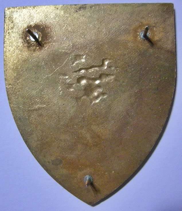 SANDF Army Support Base Lohatla Shoulder Flash Pins Intact