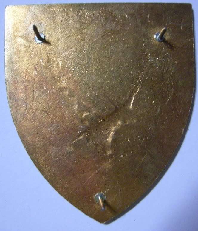 SANDF Army Support Base Kwazulu Natal Shoulder Flash Pins Intact
