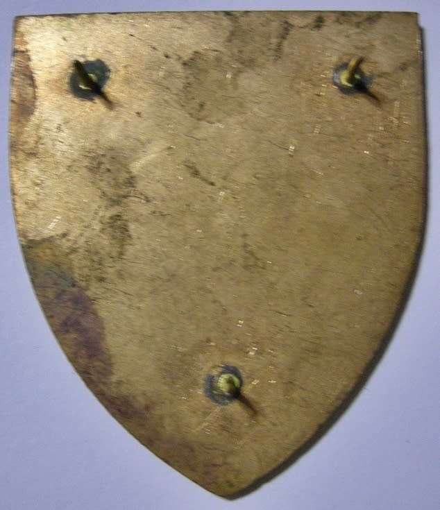 SANDF Army Support Base Durban Shoulder Flash Pins Intact