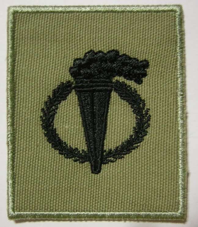 SANDF Pathfinder Badge Embroidered on Material