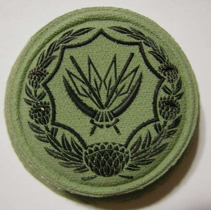 SANDF Combat Dress Rubberised Chest Badge for Reserve Voluntary Service