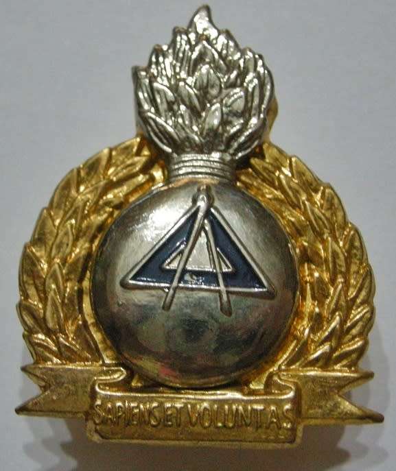 Bophuthatswana Defence Force Engineers Bi-Metal Cap Badge Bolt Type Dinnes 1351