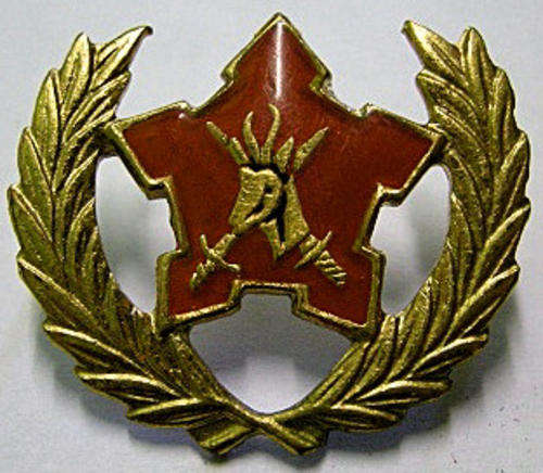 Five Year Voluntary Service Badge
