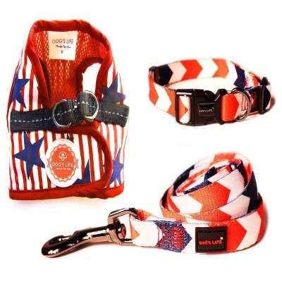 Dog's Life Carnival Harness Vest, Nautical Collars & Leash - Medium