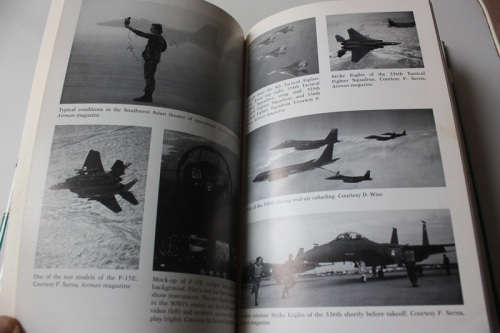 Strike Eagle, Flying the F-15E in the Gulf War by William L Smallwood