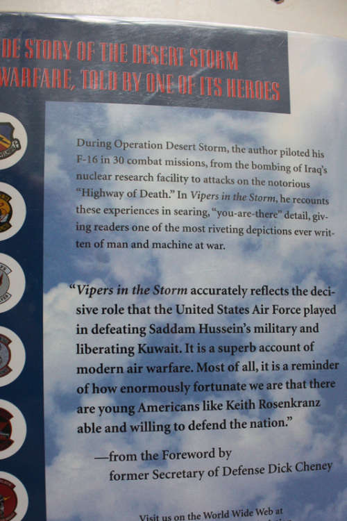 Vipers in the Storm, The Diary of a Gulf War Fighter Pilot by Keith Rosenkranz