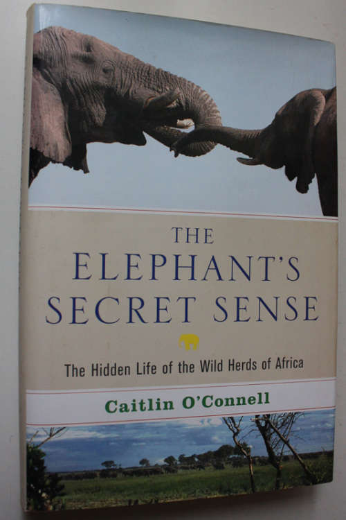 The Elephant`s Secret Sense, The Hidden Life of the Wild Herds of Africa by Caitlin O`Donnell