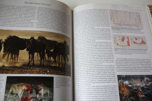 The Living Deserts of Southern Africa by Barry Lovegrove