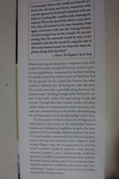 The Elephant`s Secret Sense, The Hidden Life of the Wild Herds of Africa by Caitlin O`Donnell