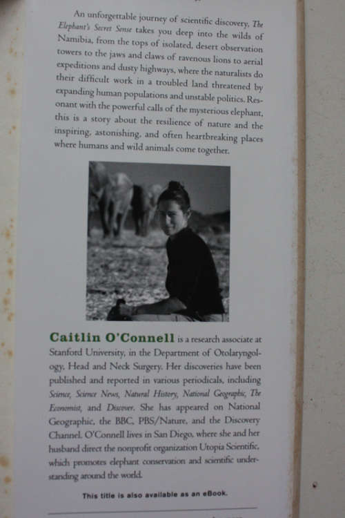 The Elephant`s Secret Sense, The Hidden Life of the Wild Herds of Africa by Caitlin O`Donnell