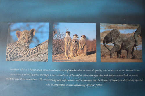 Tails and Tales, Young Wildlife and Folklore from Africa by Richard du Toit