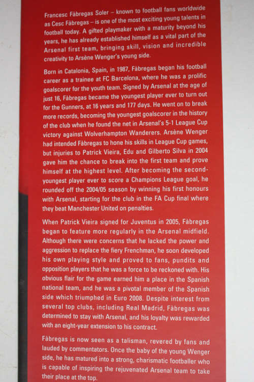 Young Gun: The Biography of Cesc Fabregas by Tom Oldfield
