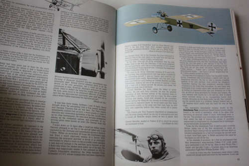 Flight Fantastic: The Illustrated History of Aerobatics by Annette Carson