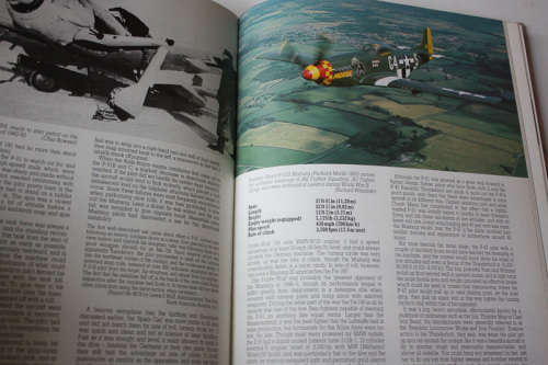 Flight Fantastic: The Illustrated History of Aerobatics by Annette Carson