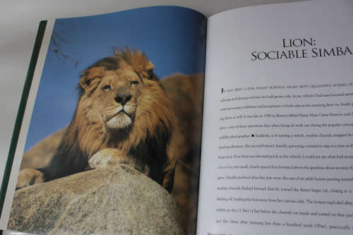 Kingdom of Might: The World`s Big Cats by Tom Brakefield