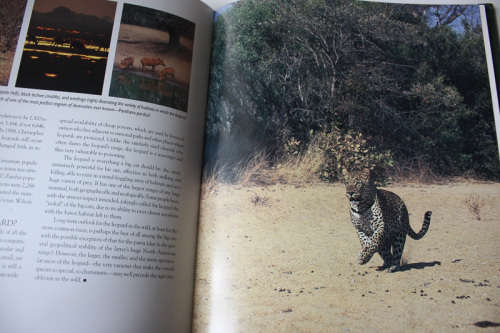 Kingdom of Might: The World`s Big Cats by Tom Brakefield