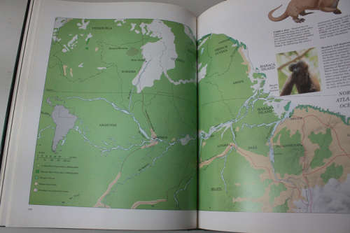 The Last Rain Forests: A World Conservation Atlas edited by Mark Collins