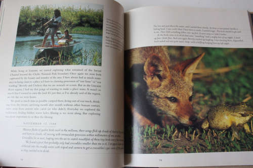The Africa Diaries: An Illustrated Memoir of Life in the Bush by Dereck and Beverly Joubert