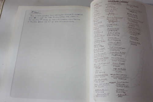 Kurt Cobain Journals