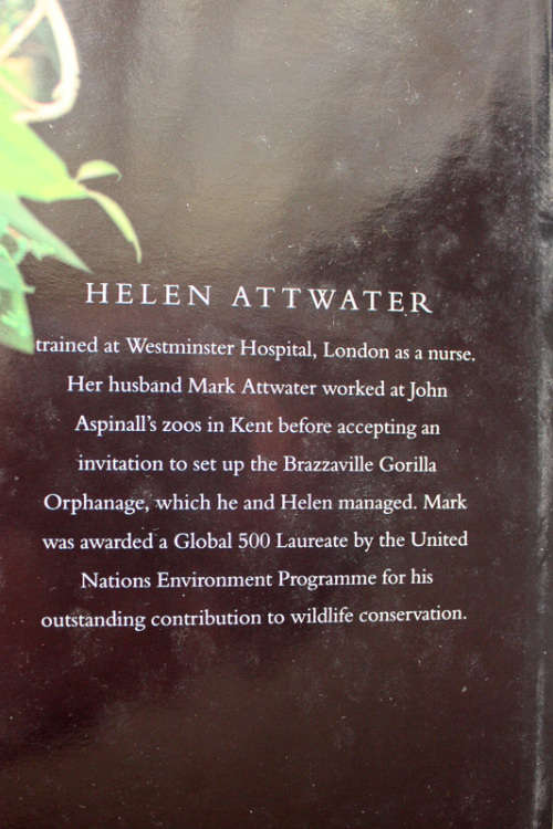 My Gorilla Journey: Living with the Orphans of the Rainforest by Helen Attwater