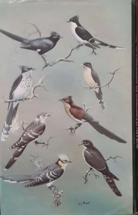 The Doves, Parrots, Louries and Cuckoos of Southern Africa - M.K. Rowan
