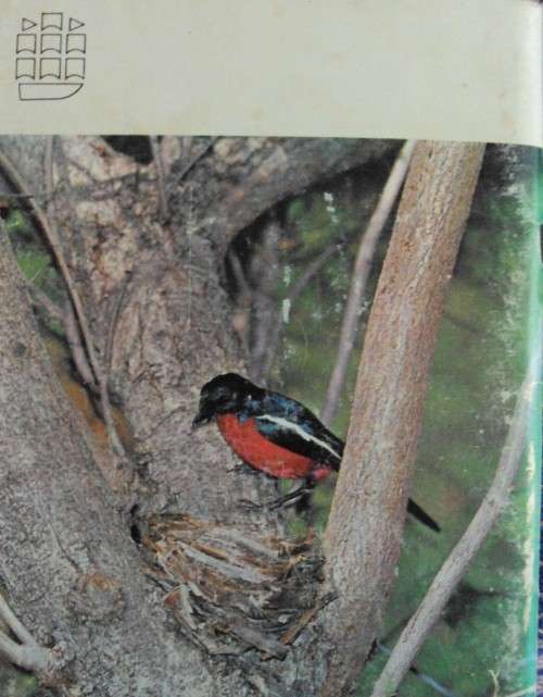 Hwange | Wankie Birds: Peter Steyn