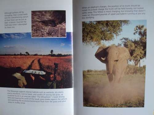 Don't Run Whatever You Do - My Adventures as a Safari Guide