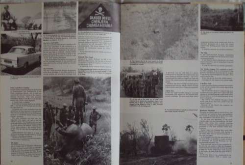 Taming the Landmine - Peter Stiff