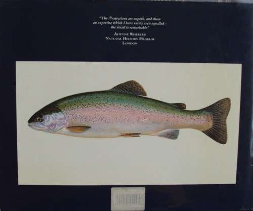 The Wild Trout - The Natural History of an Endangered Fish: Rob Sutterby Malcolm Greenhalgh