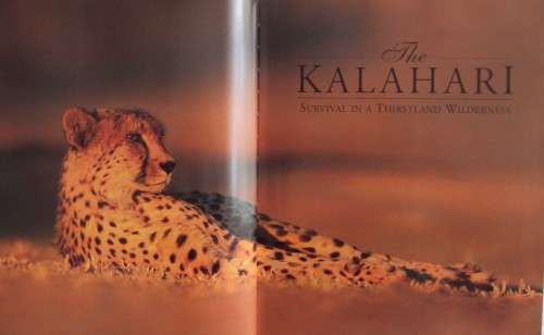 The Kalahari Survival in a Thirstland Wilderness Nigel Dennis | Michael Knight | Peter Joyce