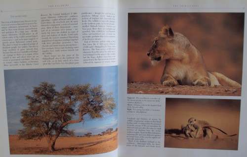 The Kalahari Survival in a Thirstland Wilderness Nigel Dennis | Michael Knight | Peter Joyce