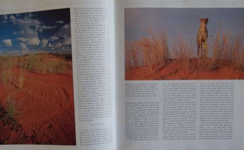 The Kalahari Survival in a Thirstland Wilderness Nigel Dennis | Michael Knight | Peter Joyce