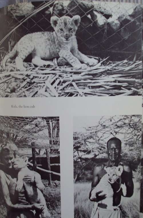 Queen of Shaba The Story of an African Leopard - Joy Adamson