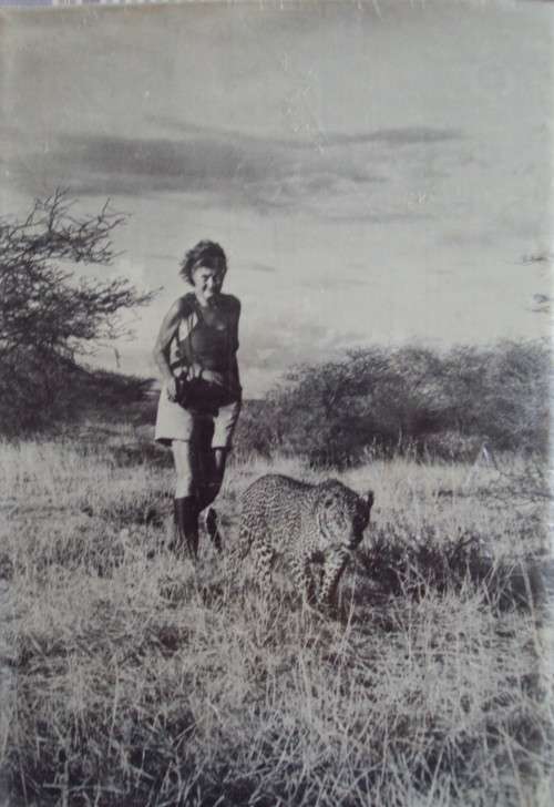 Queen of Shaba The Story of an African Leopard - Joy Adamson