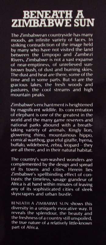 Beneath A Zimbabwe Sun - Beverly White