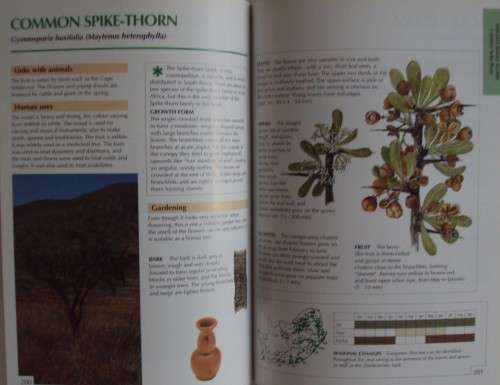 Sappi Tree Spooting Highveld and The Drakensberg Val Thomas and Rina Grant