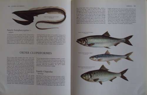 The Fresh and Salt Water Fishes of the World -  Edward C. Migdalski and George S. Fichter