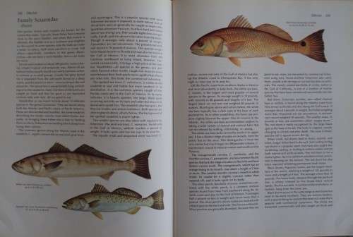 The Fresh and Salt Water Fishes of the World -  Edward C. Migdalski and George S. Fichter