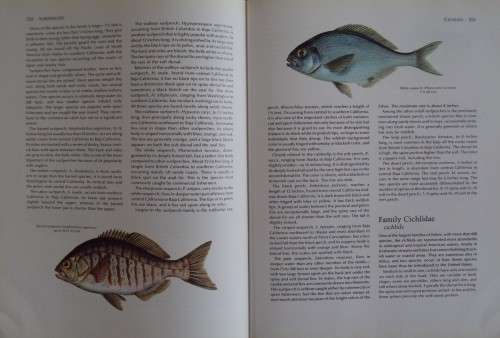 The Fresh and Salt Water Fishes of the World -  Edward C. Migdalski and George S. Fichter