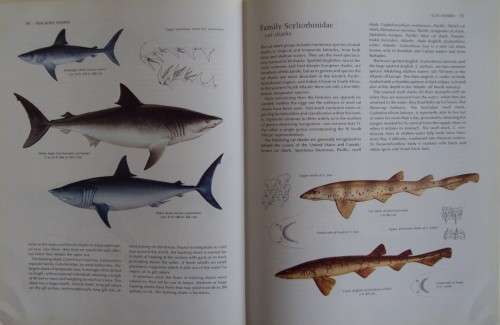 The Fresh and Salt Water Fishes of the World -  Edward C. Migdalski and George S. Fichter