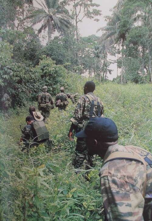 War Dog: Fighting Other People`s Wars -The Modern Mercenary in Combat Al J Venter