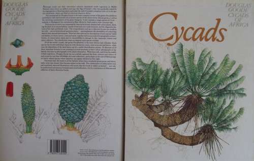 Cycads  of Africa Douglas Goode