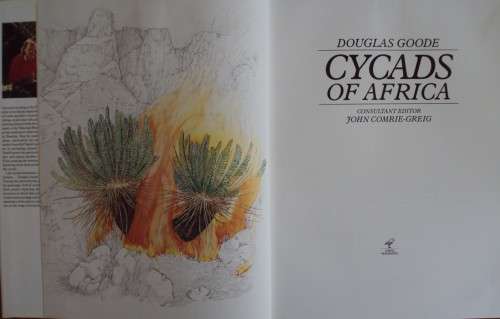 Cycads  of Africa Douglas Goode