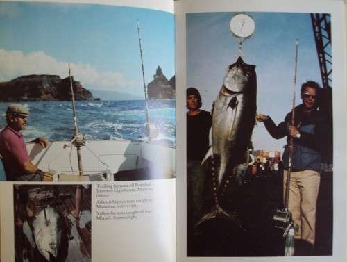 Big Game Fishing Trevor Housby