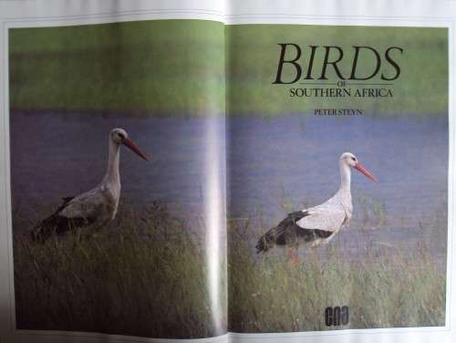 Birds of Southern Africa Peter Steyn