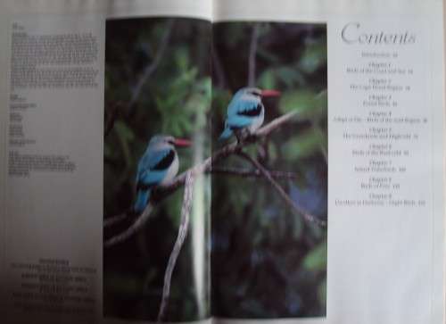 Birds of Southern Africa Peter Steyn