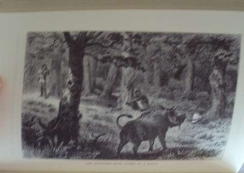 How I Found Livingstone The Travels, Adventuresn& Discoveries in Central Africa - H Stanley